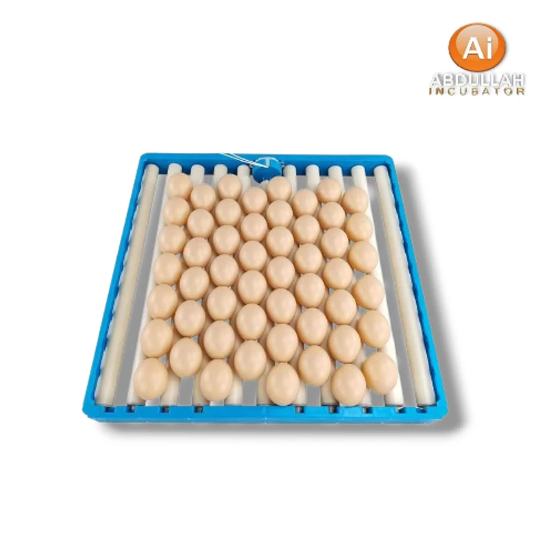 OUCHEN High Quality 60 70 Rolling Tray Suppliers Plastic Egg Tray Making Machine Incubator Egg Tray with Motor 220V