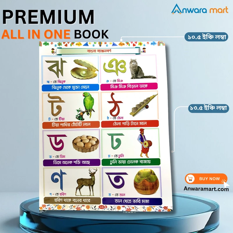 All in one Book preschool book একের ভিতর সব প্রিমিয়াম বোর্ড বই - Image 3