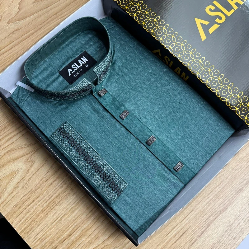 Elegant panjabi