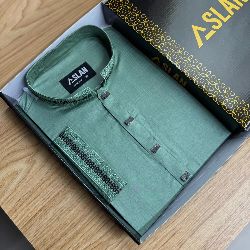 Elegant Panjabi