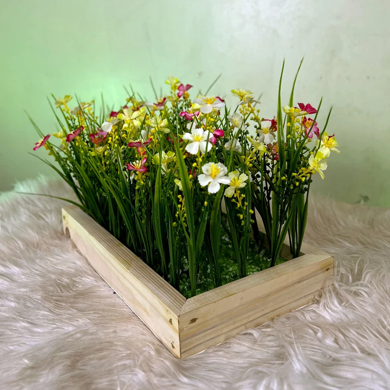 Tropical Desktop Garden