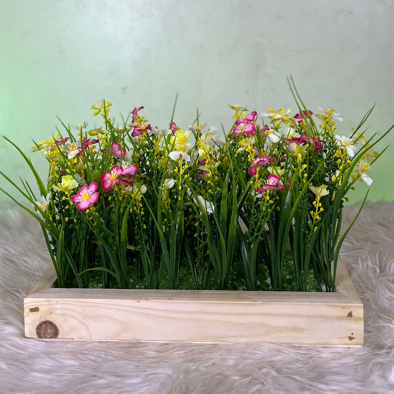 Tropical Desktop Garden