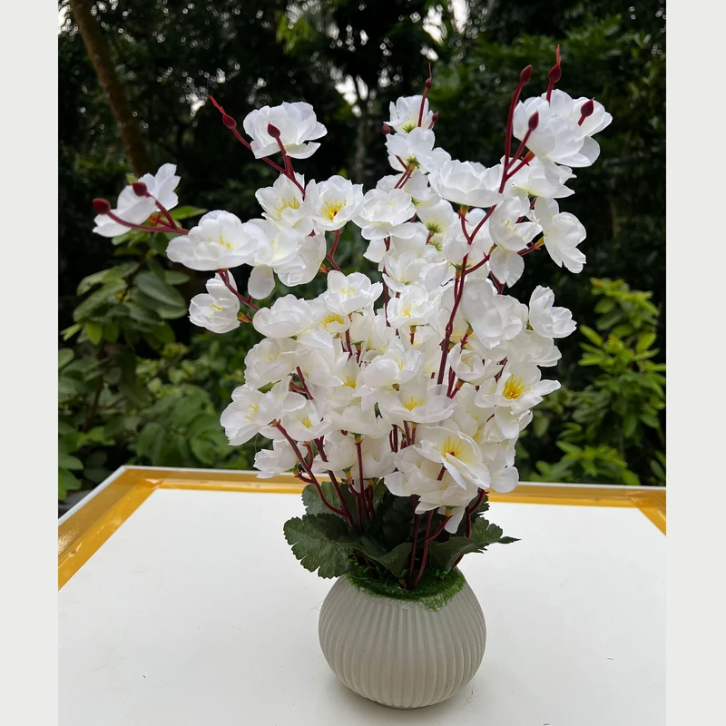 Cherry Blossom Flower in Plastic Vase White