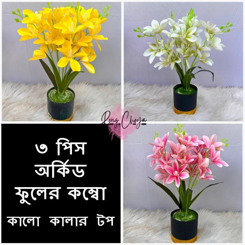 ৩ পিস অর্কিড ফুলের কম্বো কম্বো