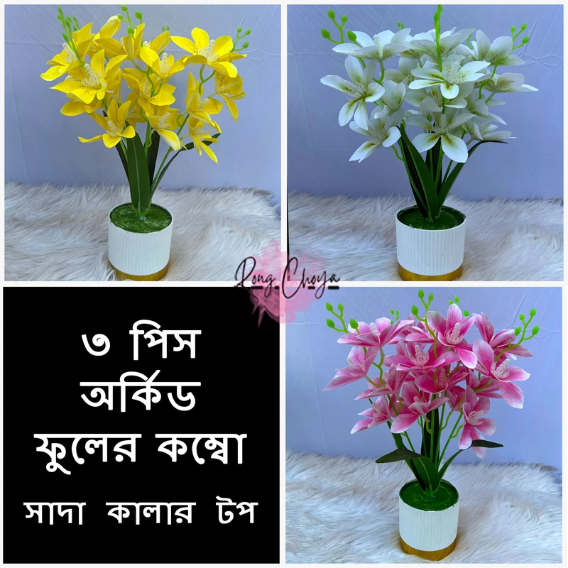 ৩ পিস অর্কিড ফুলের কম্বো কম্বো