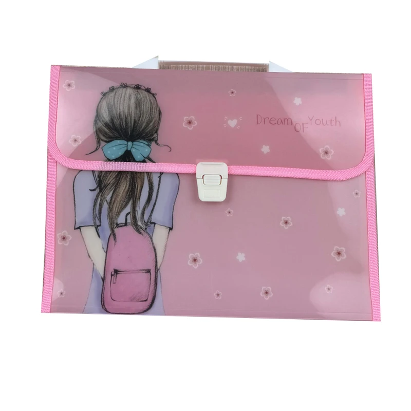 Expanding File Folder - Image 4