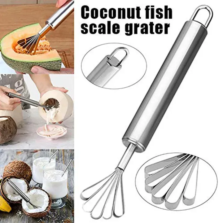 Coconuts Scraper 01327