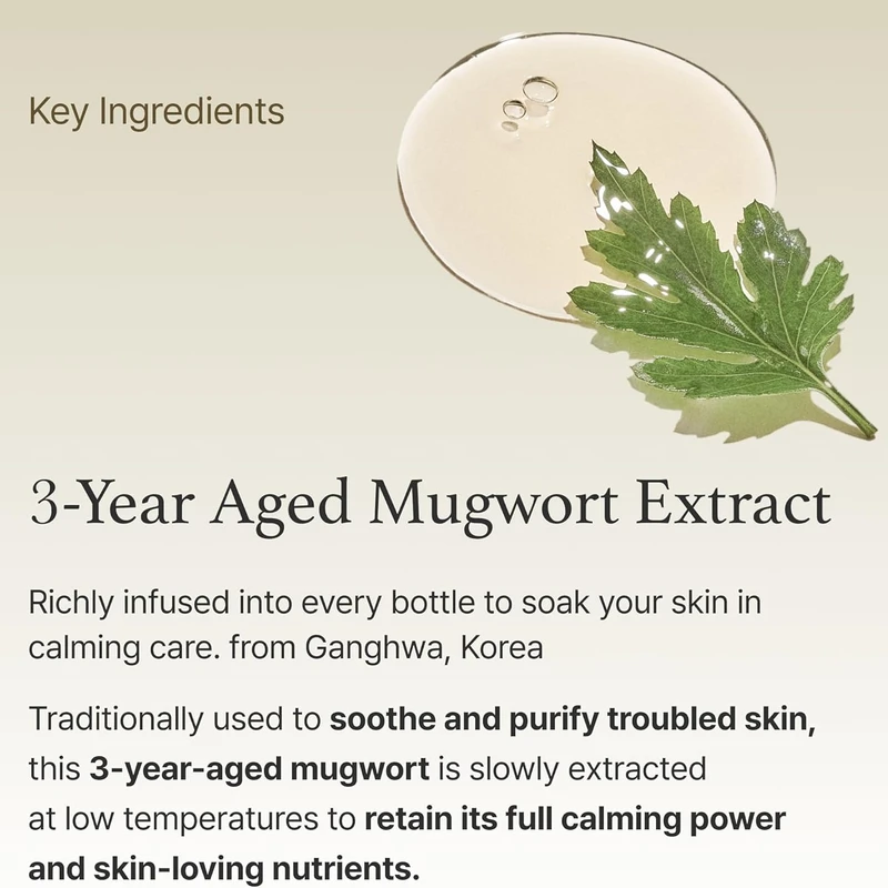I'm From Mugwort Essence (30ml) - Image 6