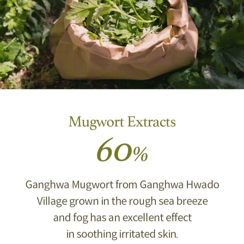 I'm From Mugwort Gel Cleanser (150ml) - Image 4