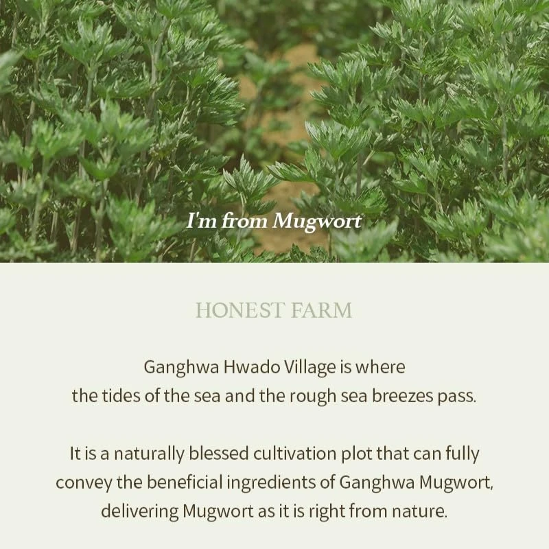 I'm From Mugwort Gel Cleanser (150ml) - Image 8
