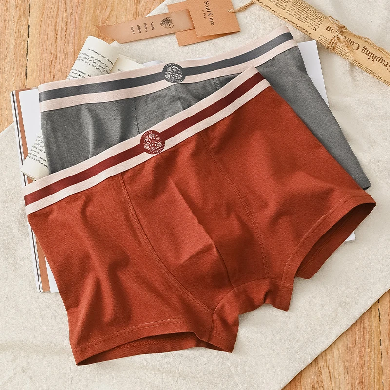 Antibacterial Pure Cotton Mid-Waist Boxers (Set of 4) - Image 10