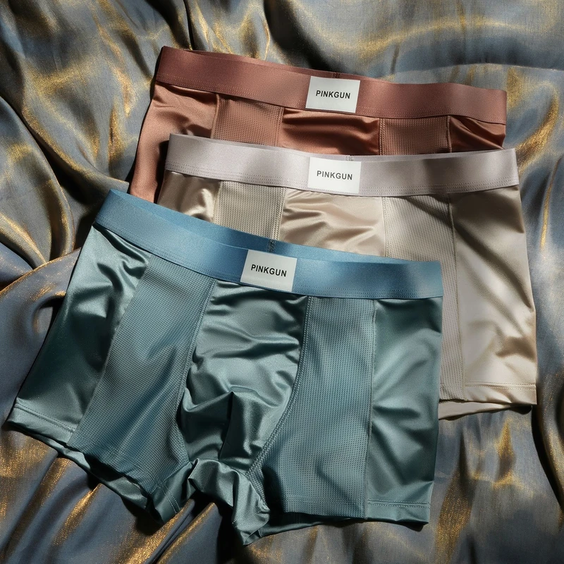 Luxury Shine Mesh Ice Silk Underwear (Set of 4) - Image 4