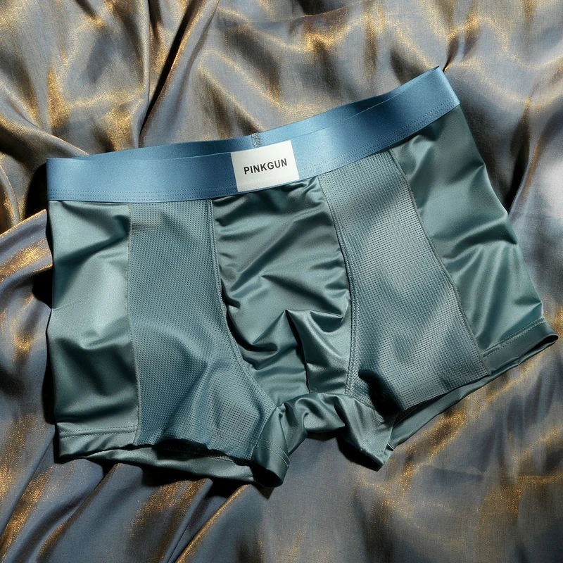 Luxury Shine Mesh Ice Silk Underwear (Set of 4) - Image 8