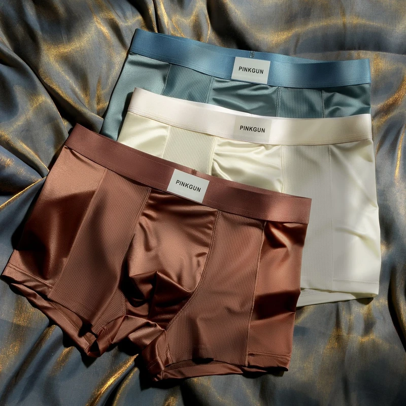 Luxury Shine Mesh Ice Silk Underwear (Set of 4) - Image 9