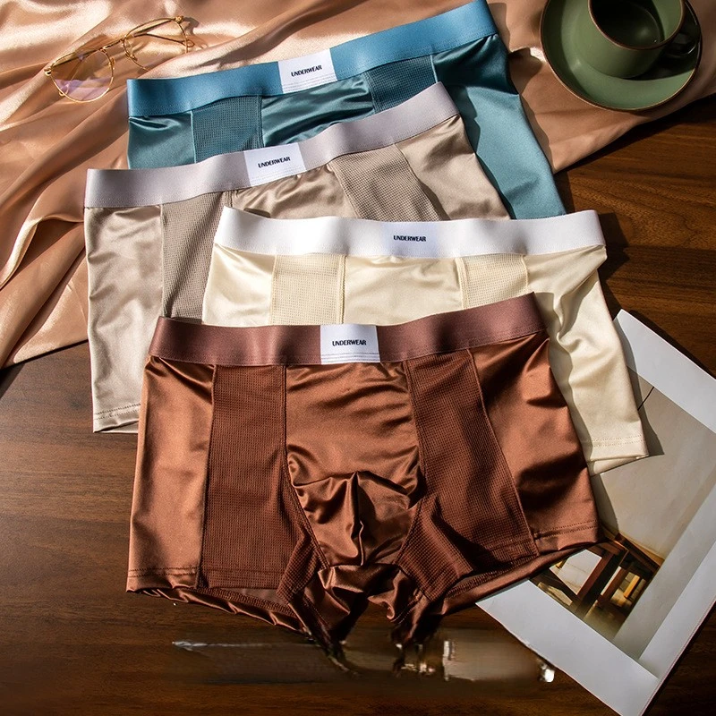 Luxury Shine Mesh Ice Silk Underwear (Set of 4) - Image 11