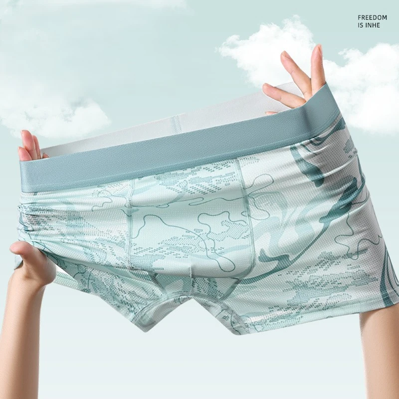 Premium Ice Silk Antibacterial Boxer Briefs (Set of 4) - Image 5