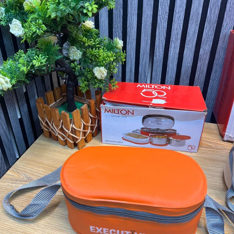 Milton Executive Lunch Box Soft Insulated Tiffin Box (2 SS Container,1 Microwave Safe Container)