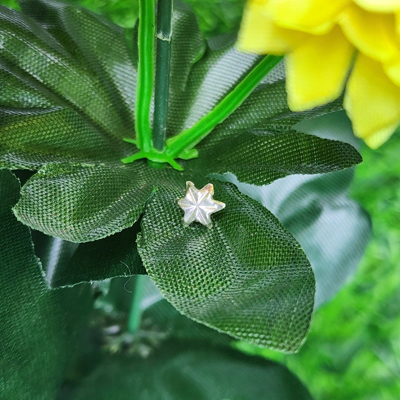 Star Shape Dice Nosepin