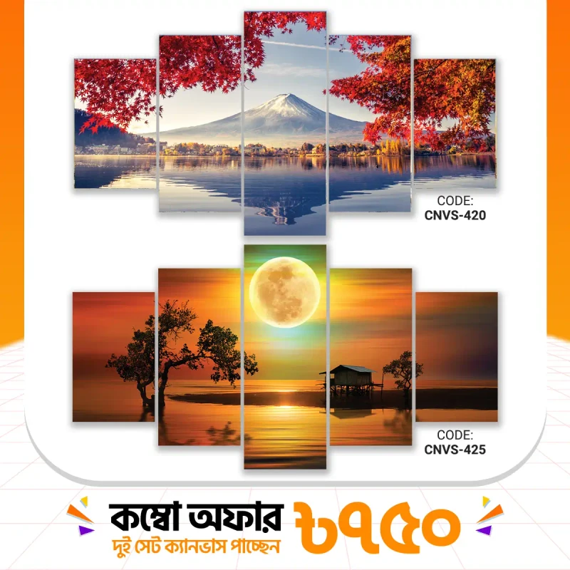 ক্যানভাস কম্বো -77। CNVS-420,425