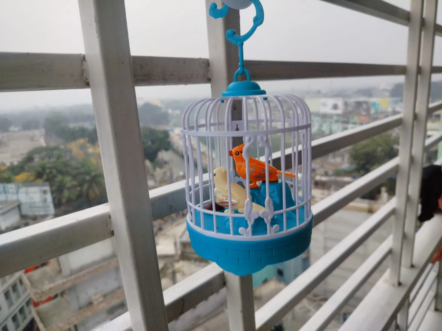 Talking Bird Toy for Kids | Interactive Toy & Repeat What You Said | Singing & Chirping in The Birdcage | Gifts for Babies, Kids & Children - Image 4