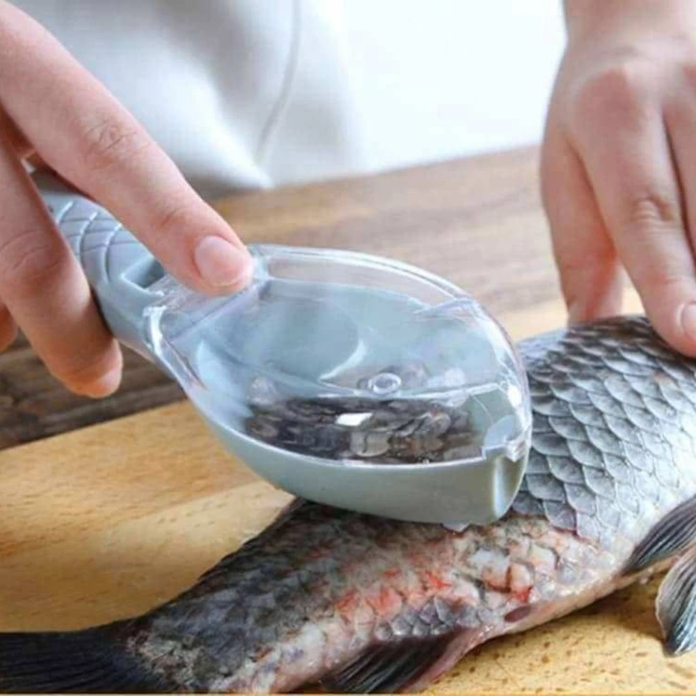 Fish Scrapper With Box