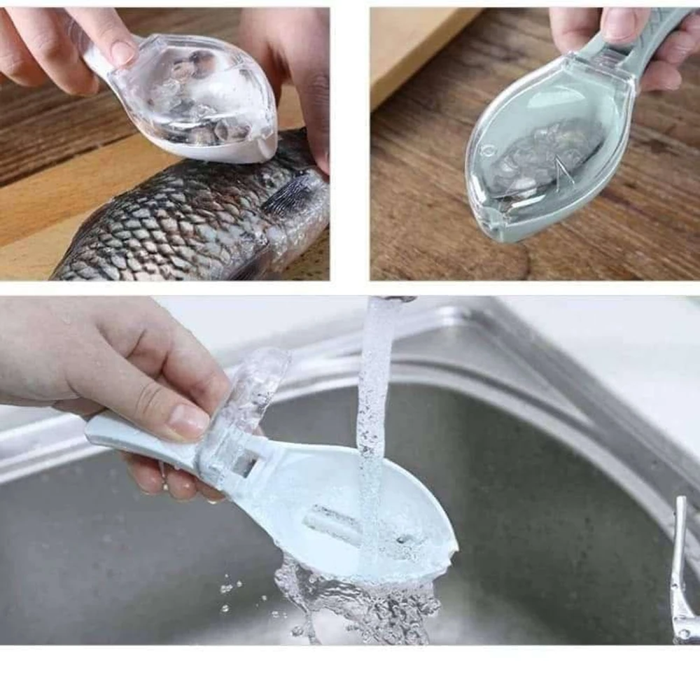 Fish Scrapper With Box
