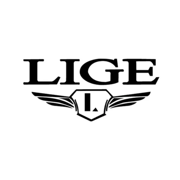 Lige Authentic Watches