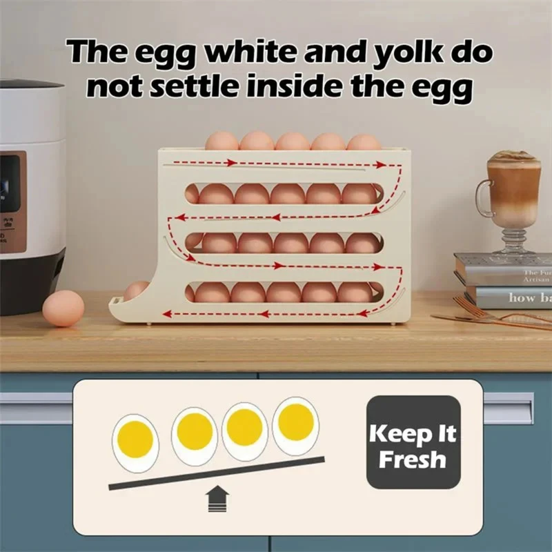𝐄𝐠𝐠 𝐇𝐨𝐥𝐝𝐞𝐫 𝐎𝐫𝐠𝐚𝐧𝐢𝐳𝐞𝐫 𝐟𝐨𝐫 𝐑𝐞𝐟𝐫𝐢𝐠𝐞𝐫𝐚𝐭𝐨𝐫