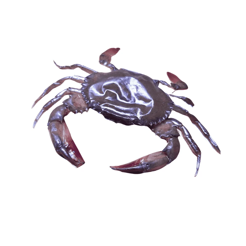 Whole Round Soft Shell Crab 1KG