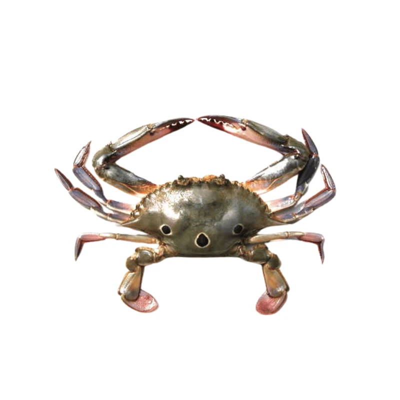 3 Spot Crab 1KG