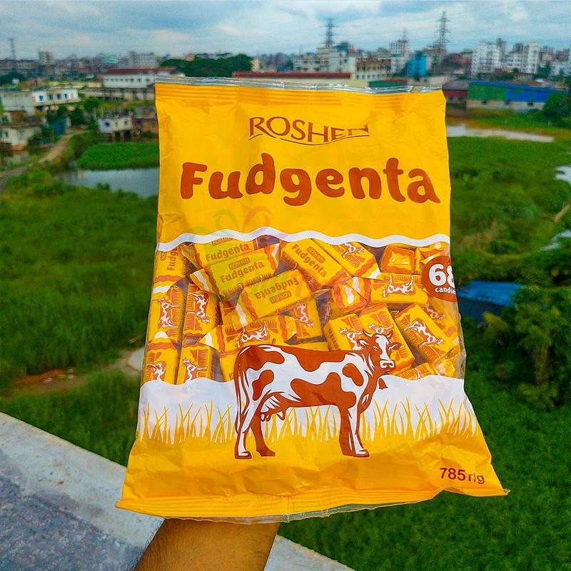 Roshen Fudgenta Unglazed candies