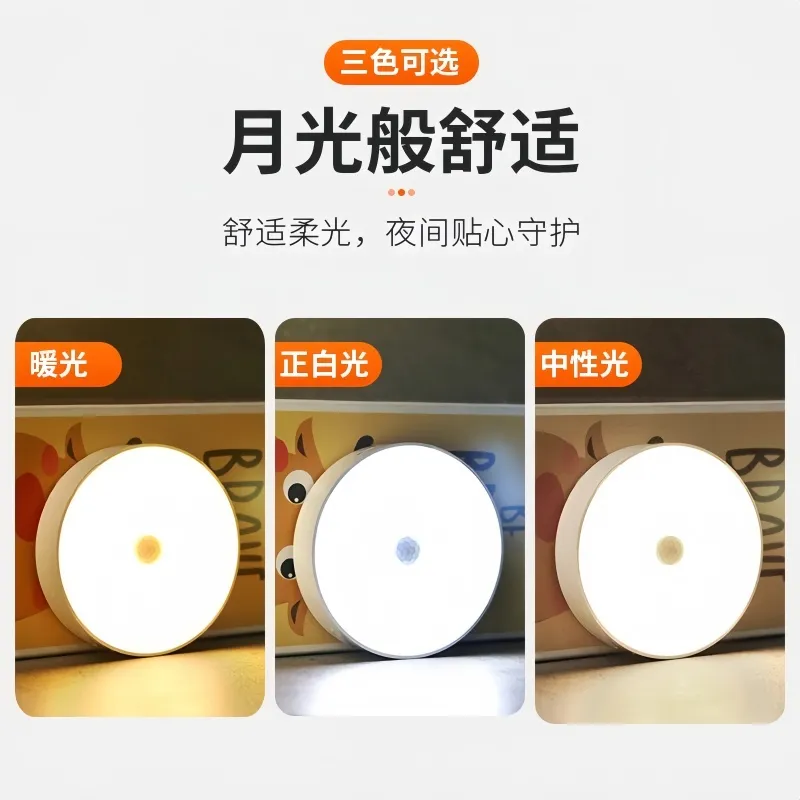 Motion Sensor Light - Image 4
