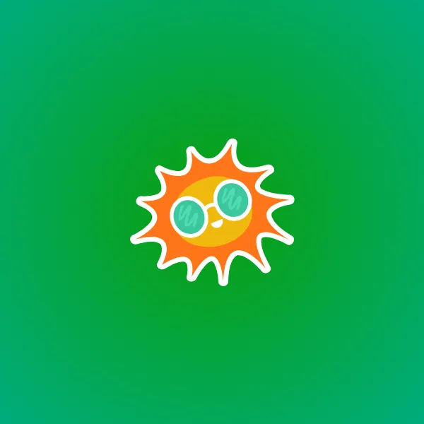 Summer Collection