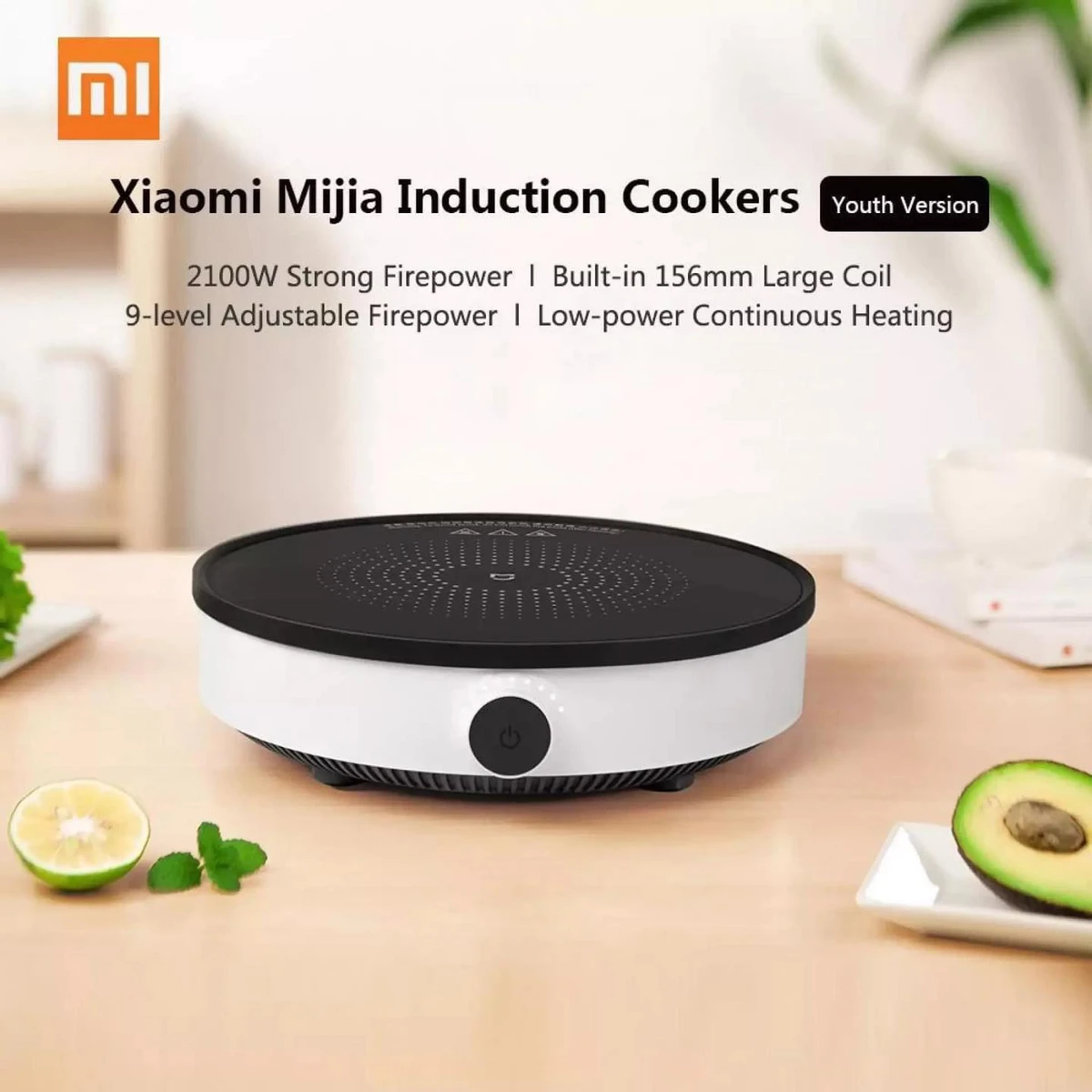 Induction Cookers