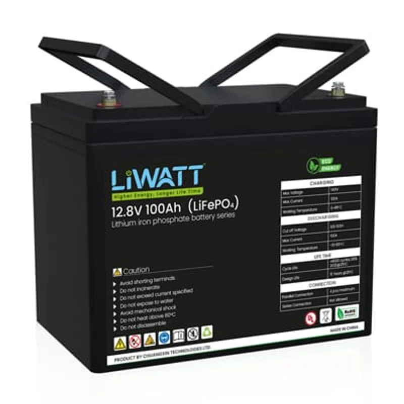Liwatt 100Ah 12v Lithium Battery
