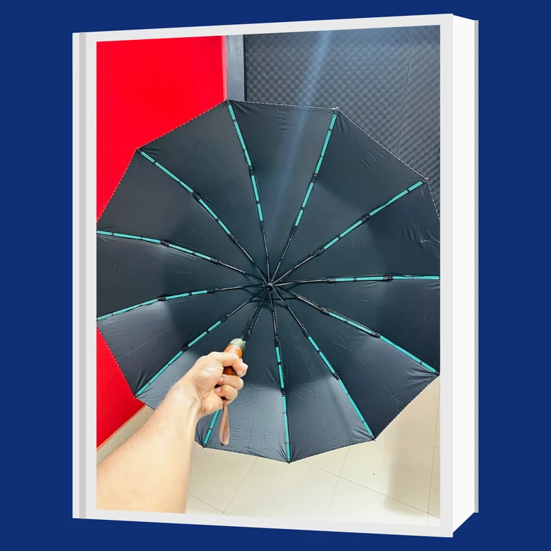 Premium 12-Ribs Automatic Wood Handle Umbrella          Ask ChatGPT - Image 6