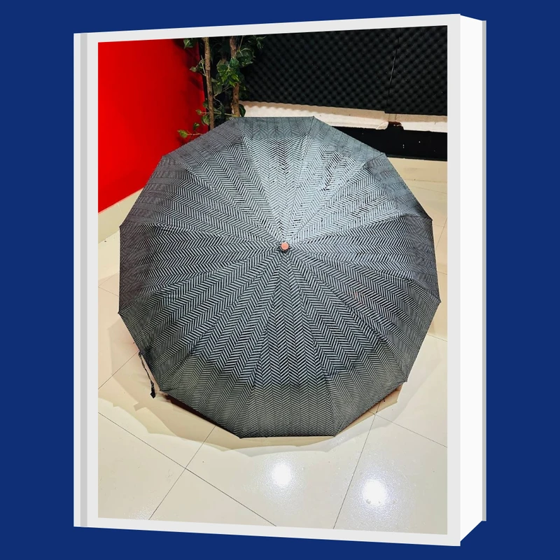 Premium 12-Ribs Automatic Wood Handle Umbrella          Ask ChatGPT - Image 7