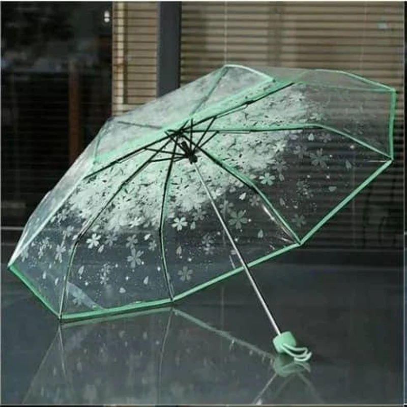 Fashionable Transparent  Umbrella - Image 3