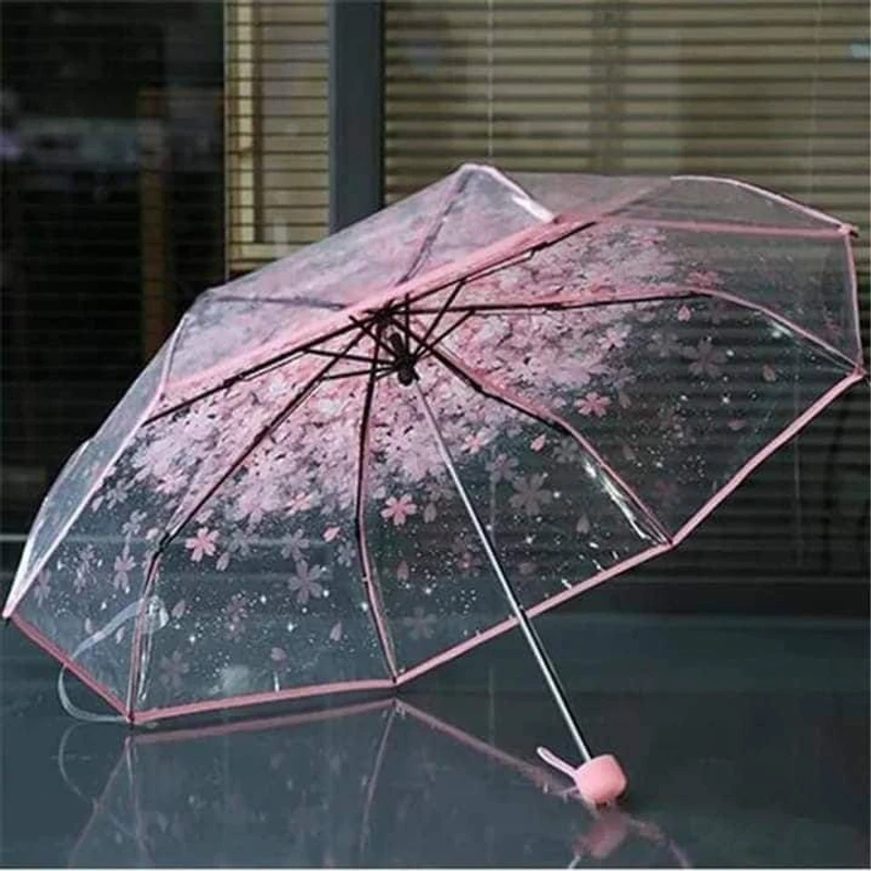 Fashionable Transparent  Umbrella - Image 4