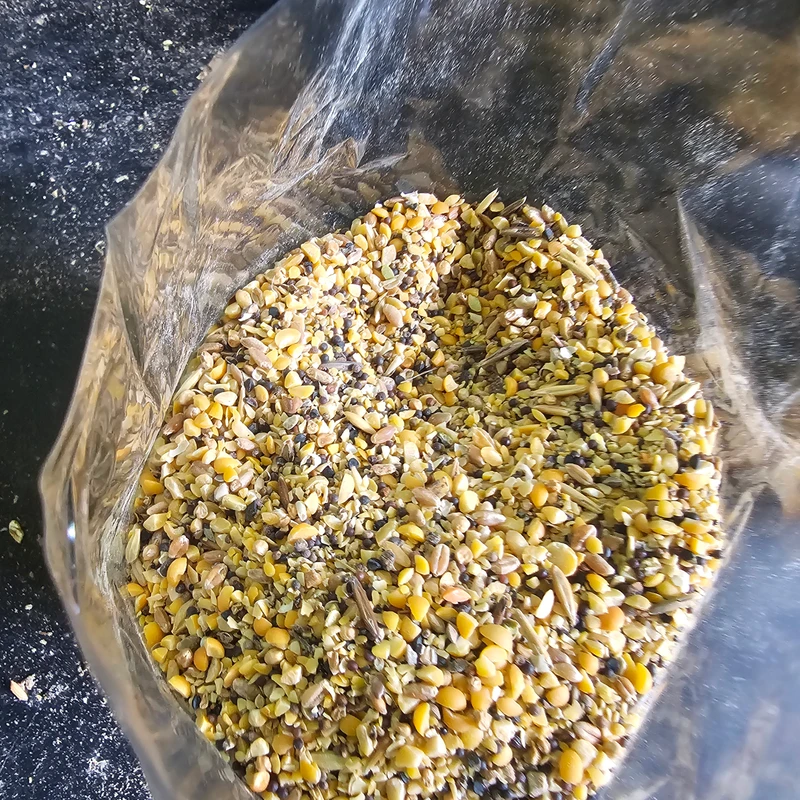 Mixed dal Vhanga