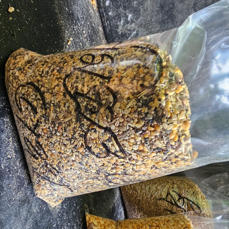 Mixed dal Vhanga - Image 3