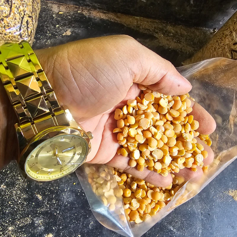 Corn