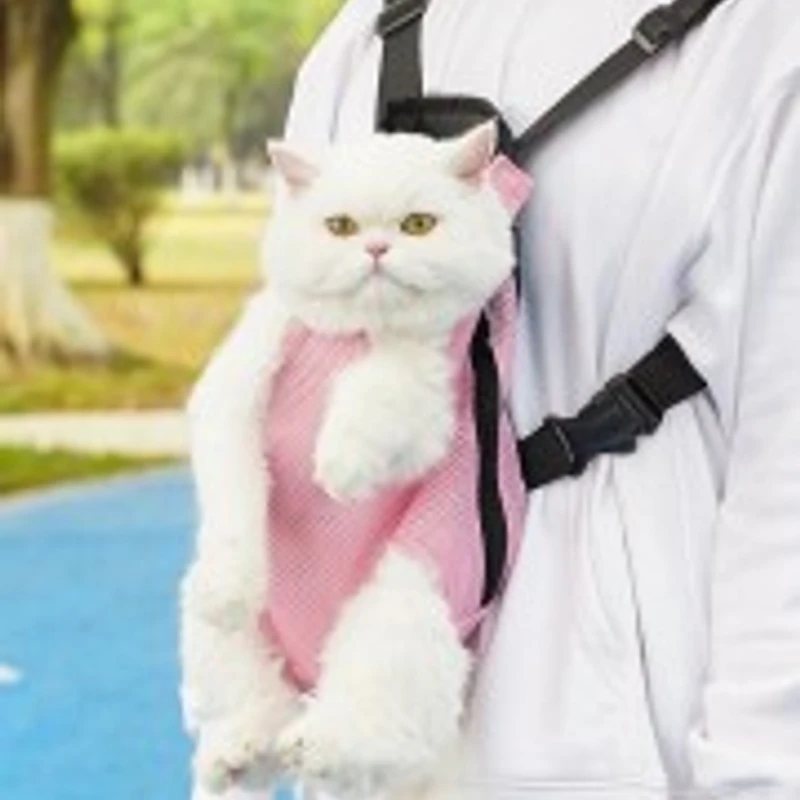 Cat Carry Bag Pink