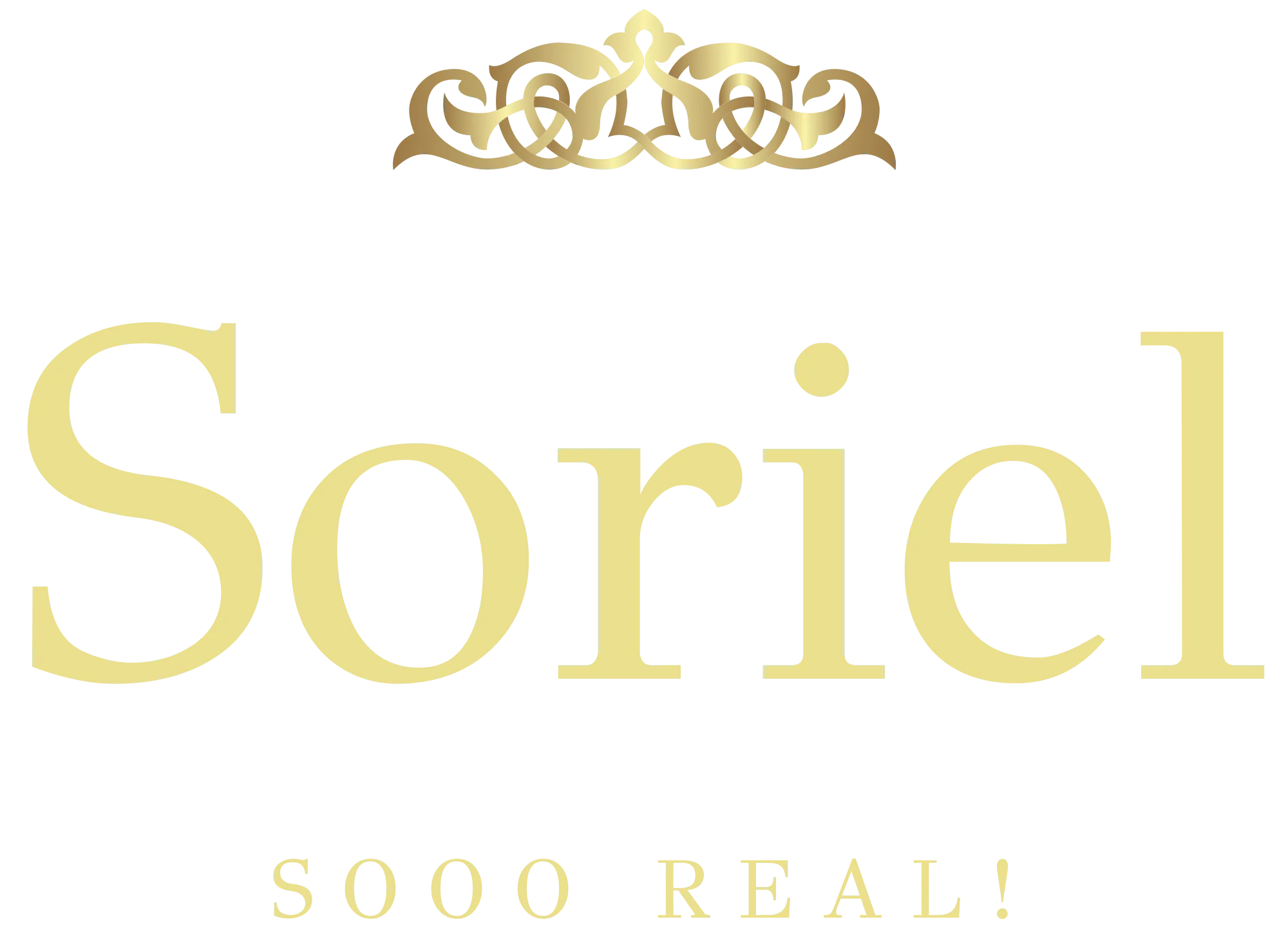 footerLogo