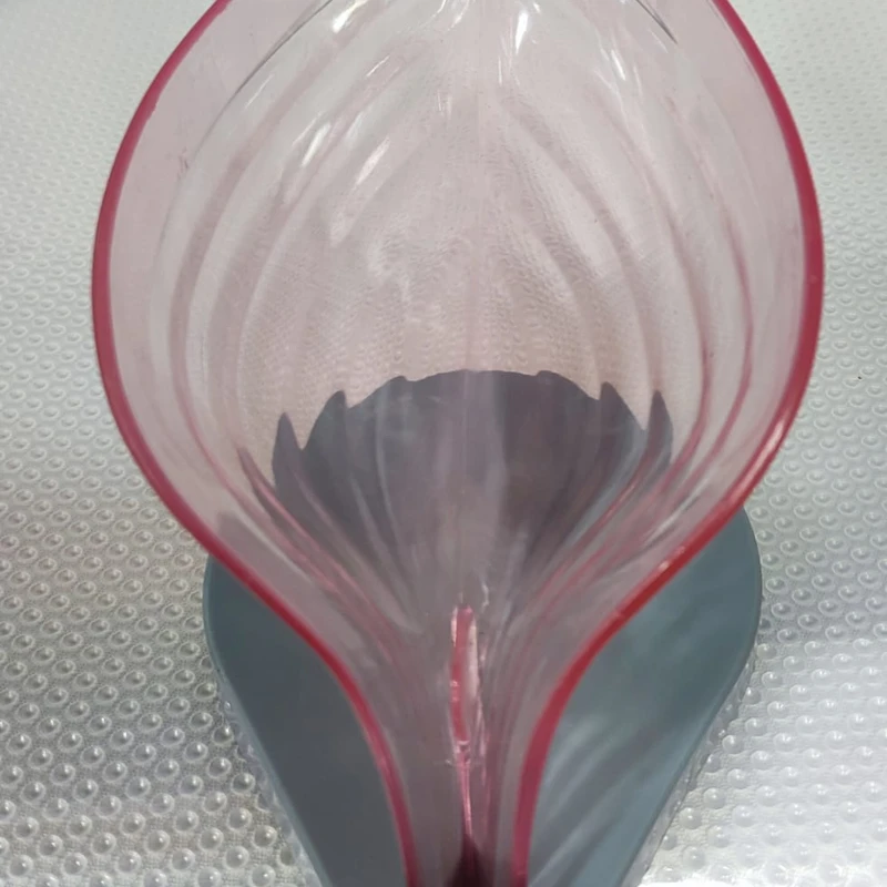 BASHION SOAP CASE