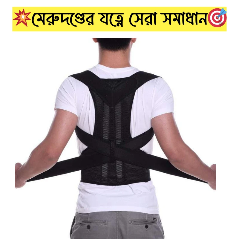 Orthopedic Royal Back Support
